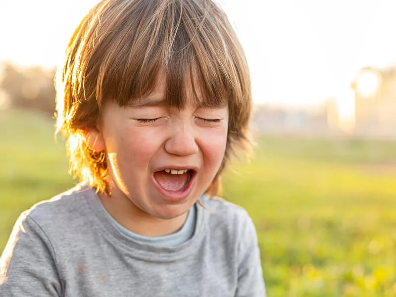 Developing emotional regulation and communication skills