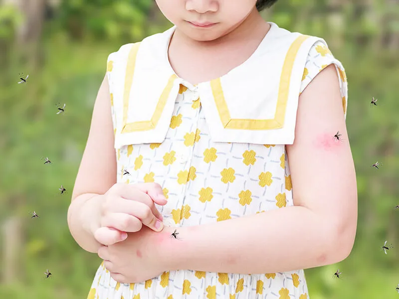 Pets and Insects Unexpected Allergy Sources