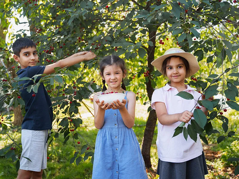 Gardening is one of the most rewarding nature activities for kids