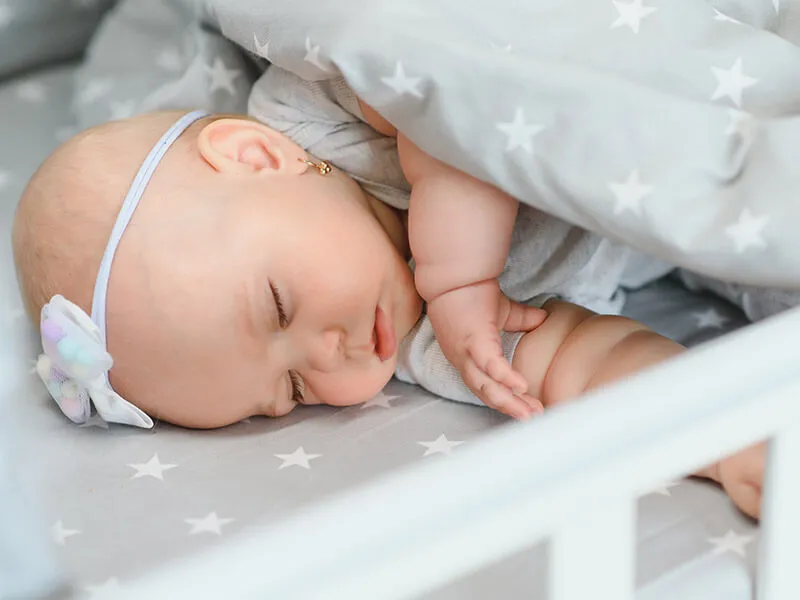 These areas may include cozy sleeping spaces, comfortable feeding areas