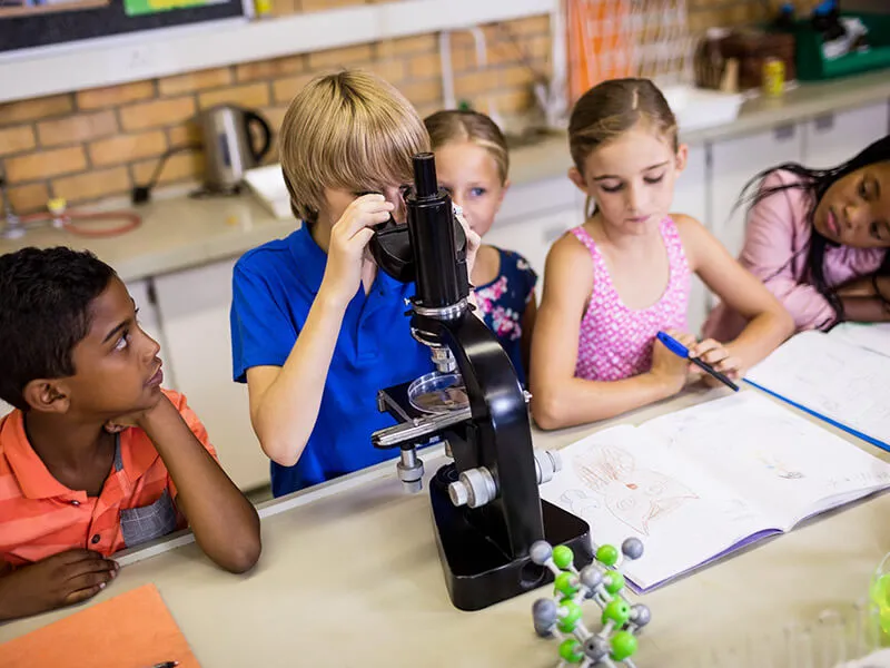 Utilizing Resources for Back to School Support