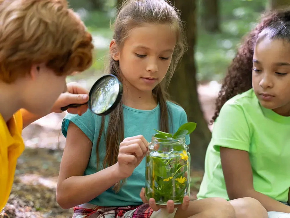 Children exploring a naturalized outdoor play area, connecting with their environment through hands-on discovery