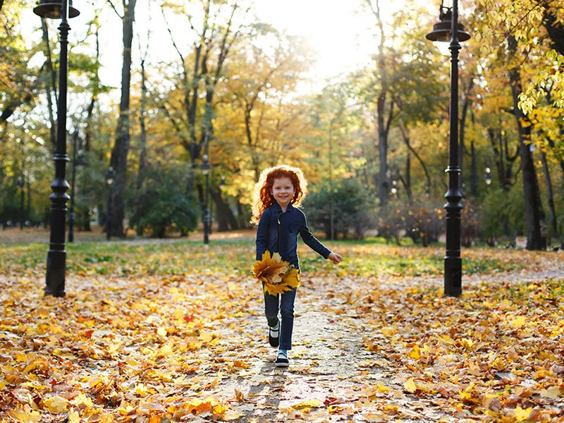 High Park boasts a plethora of family friendly attractions
