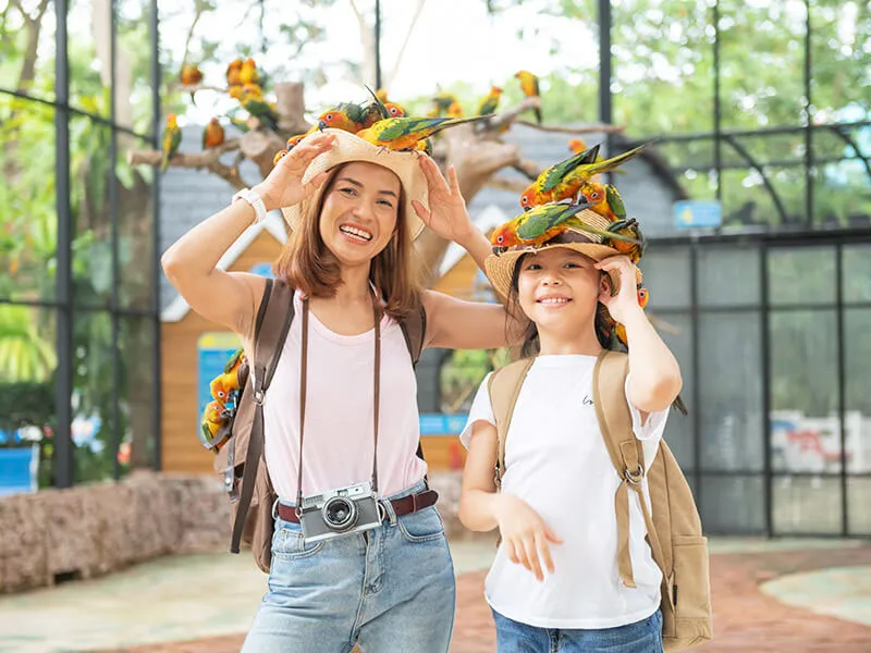 Summer is an excellent time to visit Toronto