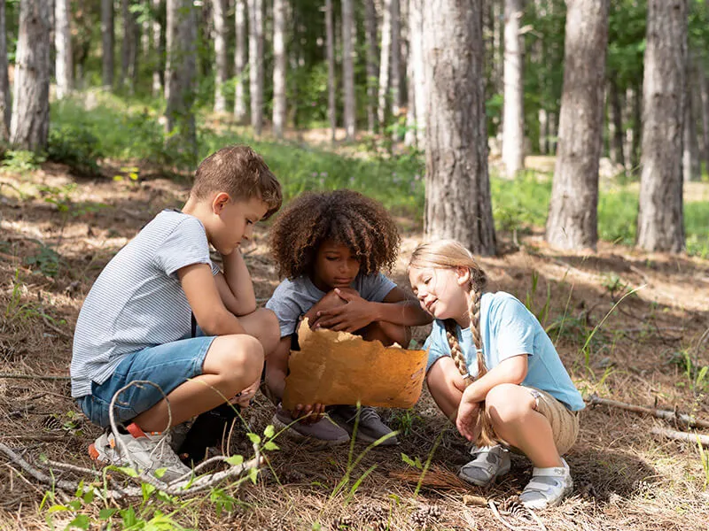 nature scavenger hunt