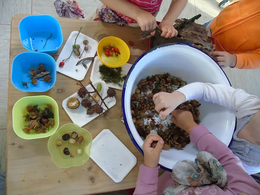 Nature sensory investigation table with pinecones, rocks, shells, and magnifying glasses